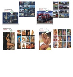 rokovniki in koledarji